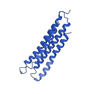 21847_6wm2_3_v1-2
Human V-ATPase in state 1 with SidK and ADP