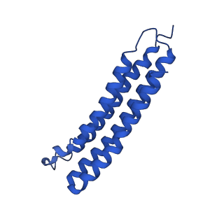 21847_6wm2_4_v1-2
Human V-ATPase in state 1 with SidK and ADP