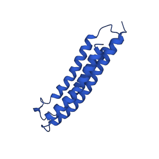 21847_6wm2_5_v1-2
Human V-ATPase in state 1 with SidK and ADP