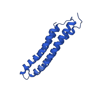 21847_6wm2_6_v1-2
Human V-ATPase in state 1 with SidK and ADP