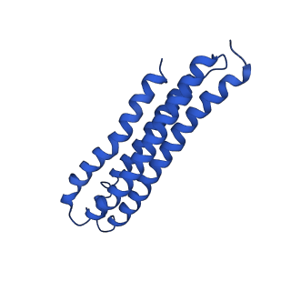 21847_6wm2_7_v1-2
Human V-ATPase in state 1 with SidK and ADP