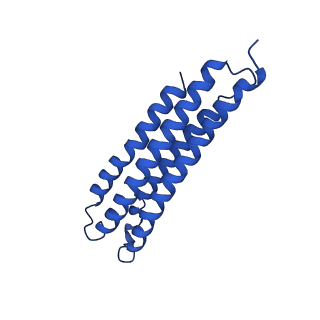 21847_6wm2_8_v1-2
Human V-ATPase in state 1 with SidK and ADP
