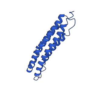 21847_6wm2_9_v1-2
Human V-ATPase in state 1 with SidK and ADP