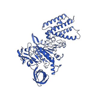 21847_6wm2_A_v1-2
Human V-ATPase in state 1 with SidK and ADP