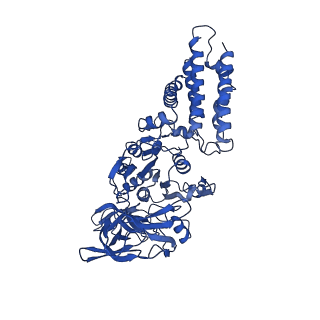 21847_6wm2_C_v1-2
Human V-ATPase in state 1 with SidK and ADP