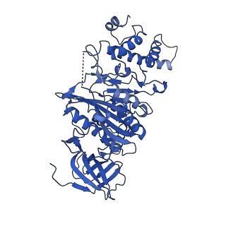 21847_6wm2_D_v1-2
Human V-ATPase in state 1 with SidK and ADP