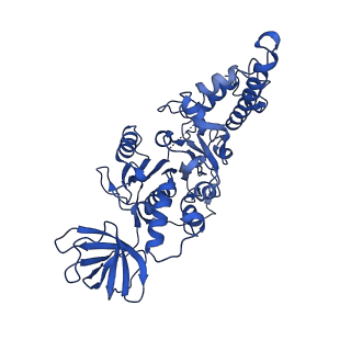 21847_6wm2_E_v1-2
Human V-ATPase in state 1 with SidK and ADP