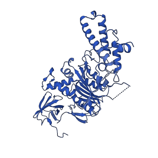 21847_6wm2_F_v1-2
Human V-ATPase in state 1 with SidK and ADP
