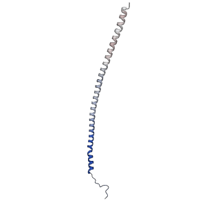 21847_6wm2_L_v1-2
Human V-ATPase in state 1 with SidK and ADP