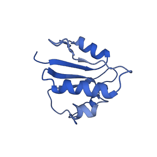 21847_6wm2_N_v1-2
Human V-ATPase in state 1 with SidK and ADP