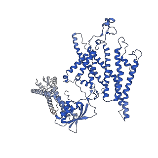 21847_6wm2_R_v1-2
Human V-ATPase in state 1 with SidK and ADP