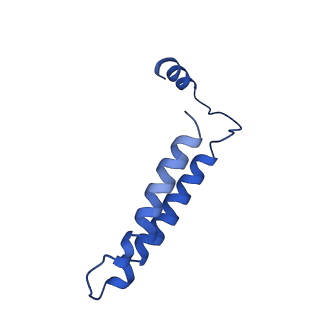 21847_6wm2_S_v1-2
Human V-ATPase in state 1 with SidK and ADP