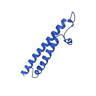 21847_6wm2_T_v1-2
Human V-ATPase in state 1 with SidK and ADP