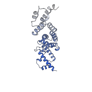 21847_6wm2_X_v1-2
Human V-ATPase in state 1 with SidK and ADP