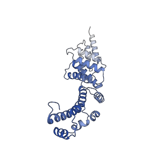 21847_6wm2_Y_v1-2
Human V-ATPase in state 1 with SidK and ADP