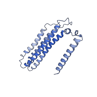 21848_6wm3_0_v1-1
Human V-ATPase in state 2 with SidK and ADP