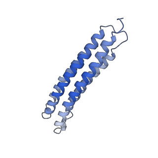21848_6wm3_2_v1-1
Human V-ATPase in state 2 with SidK and ADP