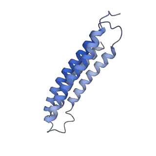 21848_6wm3_3_v1-1
Human V-ATPase in state 2 with SidK and ADP