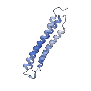 21848_6wm3_4_v1-1
Human V-ATPase in state 2 with SidK and ADP