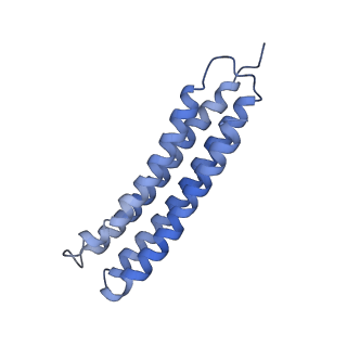 21848_6wm3_7_v1-1
Human V-ATPase in state 2 with SidK and ADP