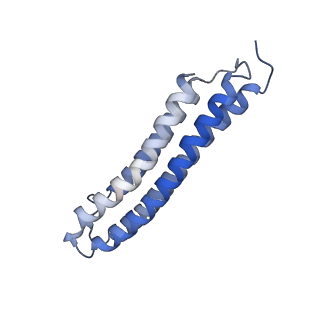 21848_6wm3_9_v1-1
Human V-ATPase in state 2 with SidK and ADP