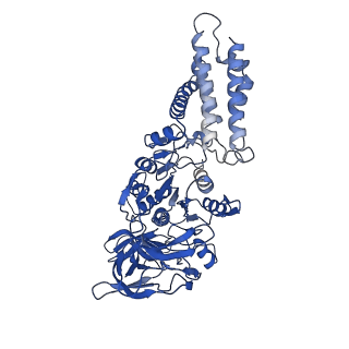 21848_6wm3_C_v1-1
Human V-ATPase in state 2 with SidK and ADP