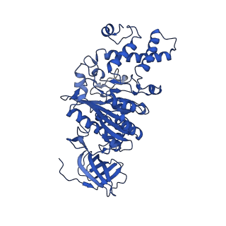 21848_6wm3_D_v1-1
Human V-ATPase in state 2 with SidK and ADP