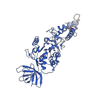 21848_6wm3_E_v1-1
Human V-ATPase in state 2 with SidK and ADP