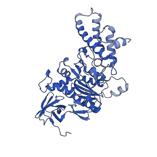 21848_6wm3_F_v1-1
Human V-ATPase in state 2 with SidK and ADP