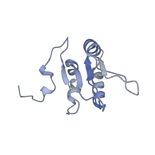 21848_6wm3_N_v1-1
Human V-ATPase in state 2 with SidK and ADP