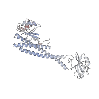 21848_6wm3_O_v1-1
Human V-ATPase in state 2 with SidK and ADP