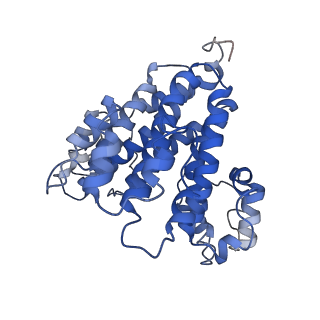 21848_6wm3_Q_v1-1
Human V-ATPase in state 2 with SidK and ADP