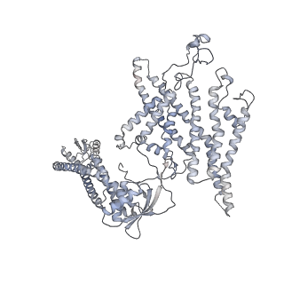 21848_6wm3_R_v1-1
Human V-ATPase in state 2 with SidK and ADP