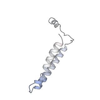 21848_6wm3_S_v1-1
Human V-ATPase in state 2 with SidK and ADP