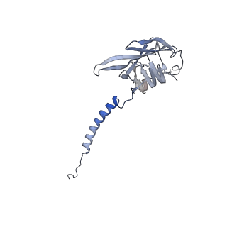 21848_6wm3_U_v1-1
Human V-ATPase in state 2 with SidK and ADP