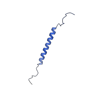 21848_6wm3_V_v1-1
Human V-ATPase in state 2 with SidK and ADP