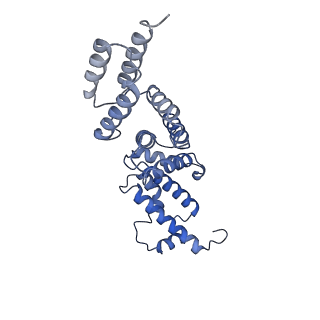 21848_6wm3_X_v1-1
Human V-ATPase in state 2 with SidK and ADP