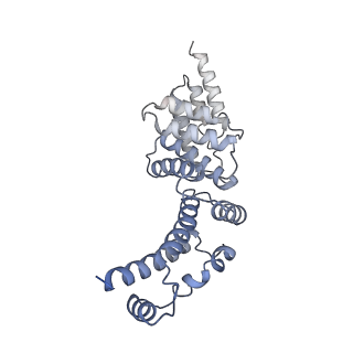 21848_6wm3_Y_v1-1
Human V-ATPase in state 2 with SidK and ADP