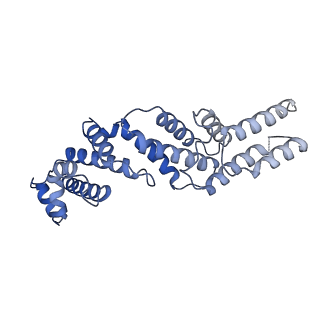 21848_6wm3_Z_v1-1
Human V-ATPase in state 2 with SidK and ADP