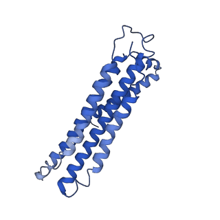 21849_6wm4_0_v1-1
Human V-ATPase in state 3 with SidK and ADP