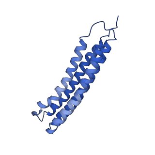 21849_6wm4_1_v1-1
Human V-ATPase in state 3 with SidK and ADP