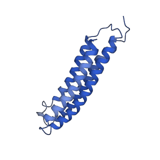 21849_6wm4_2_v1-1
Human V-ATPase in state 3 with SidK and ADP