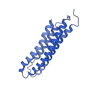 21849_6wm4_3_v1-1
Human V-ATPase in state 3 with SidK and ADP