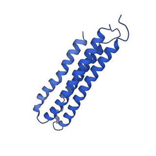 21849_6wm4_4_v1-1
Human V-ATPase in state 3 with SidK and ADP