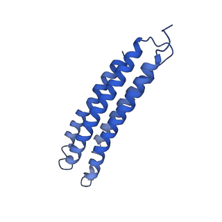 21849_6wm4_5_v1-1
Human V-ATPase in state 3 with SidK and ADP