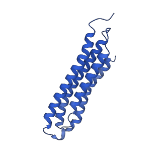 21849_6wm4_8_v1-1
Human V-ATPase in state 3 with SidK and ADP