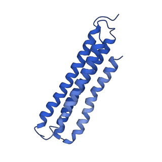 21849_6wm4_9_v1-1
Human V-ATPase in state 3 with SidK and ADP