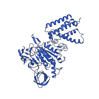21849_6wm4_A_v1-1
Human V-ATPase in state 3 with SidK and ADP