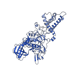 21849_6wm4_B_v1-1
Human V-ATPase in state 3 with SidK and ADP