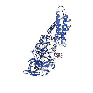 21849_6wm4_C_v1-1
Human V-ATPase in state 3 with SidK and ADP